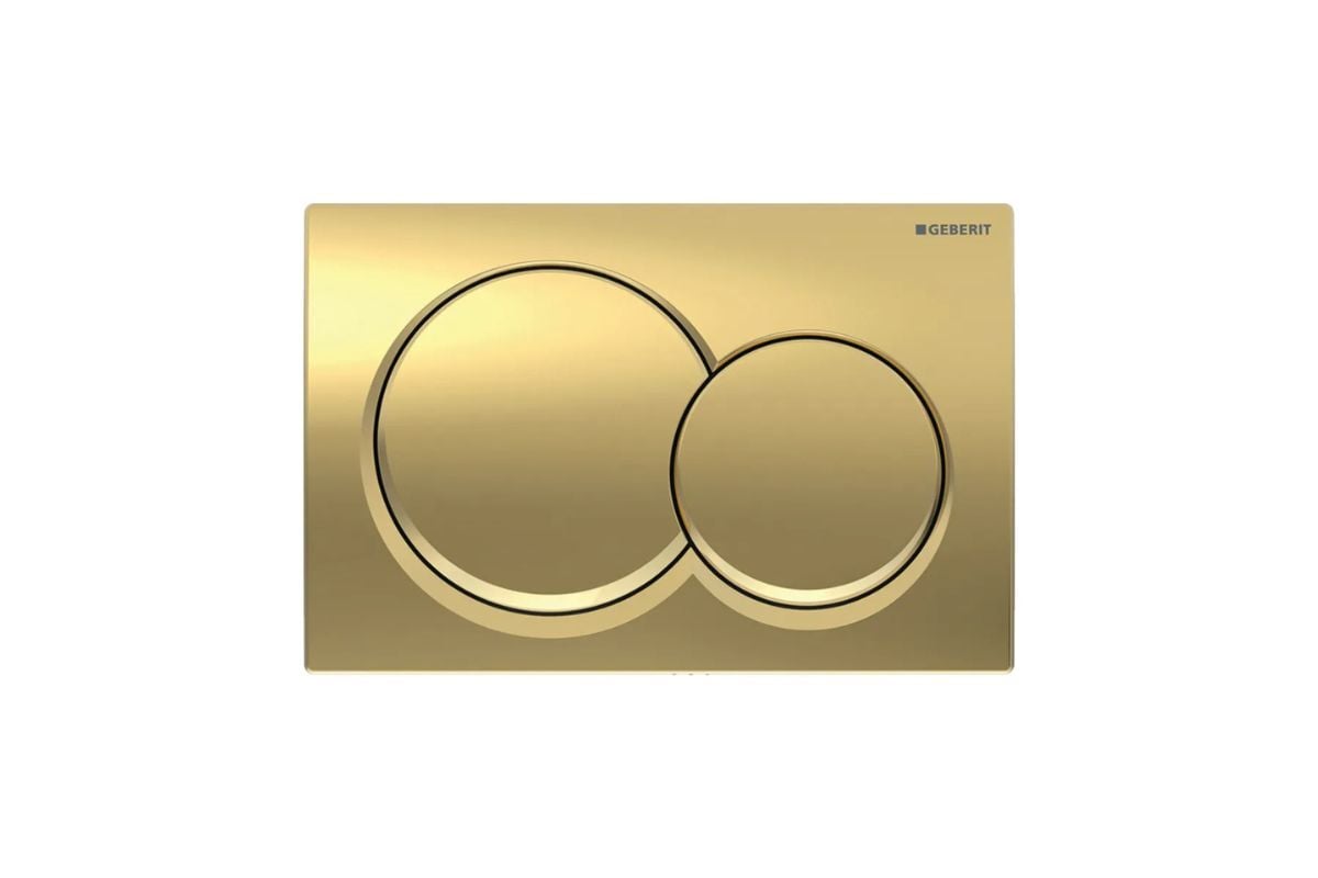 Round Flush Plate - Brushed Brass